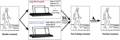 Single-belt vs. split-belt treadmill symmetry training: is there a perfect choice for gait rehabilitation post-stroke?